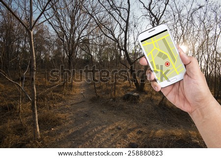 A man using Smartphone with a GPS map to find the way out of Forest.