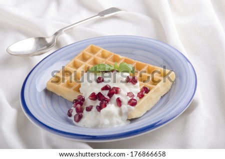 waffle with rice pudding and pomegranate seed on a plate