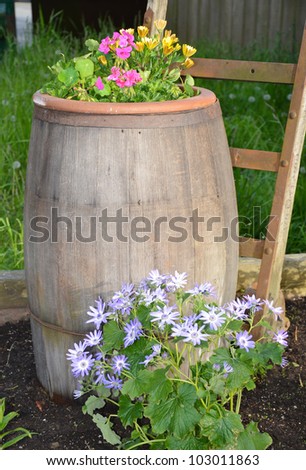 Old wooden barrel filled with colorful flowers