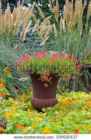 Colorful garden planter in nasturtium garden