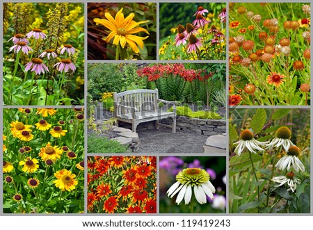 Colorful summer flower garden collage