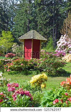 Little red garden shed in rhododendron garden