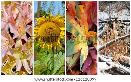 Colorful collage depicting the four seasons