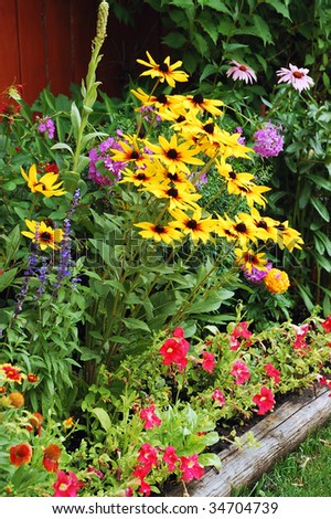 Colorful assorted flowers in summer garden