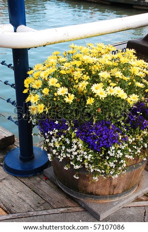 Colorful flower planter on dock