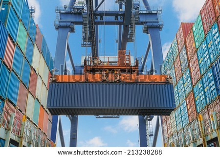Shore crane lifts container during cargo operation in port