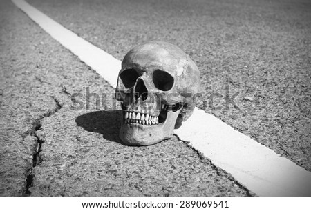 still life skull human on asphalt road in black and white filter effect.