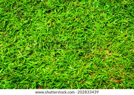 Green artificial turf pattern ,texture for background