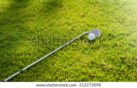 Golf club close up on green