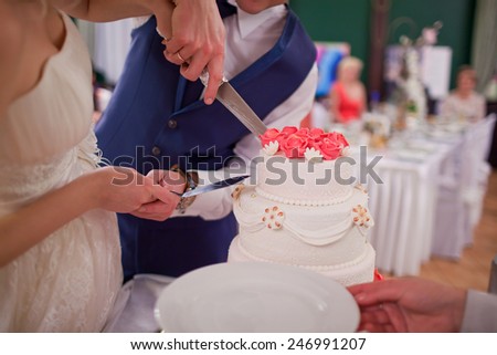 The groom and bride cutting the wedding cake