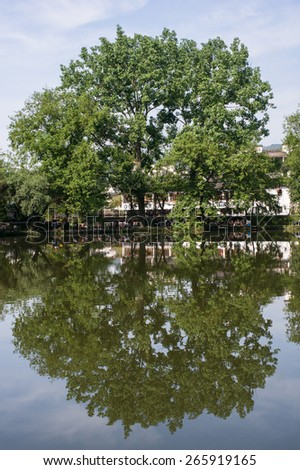 Reflection of the tree of life in the ancient village of Hongcun, China