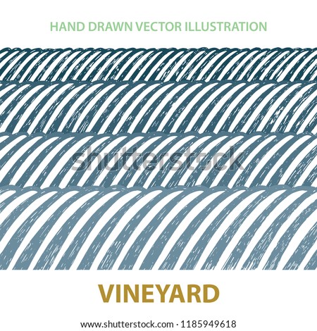 Valley . Vineyard and sunny valley hand drawn illustration.\
Nature and meadows. Vineyard woodcut style sketch drawing.\
Landscape abstract background.
