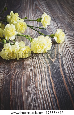 beautiful yellow carnations on dark textural background