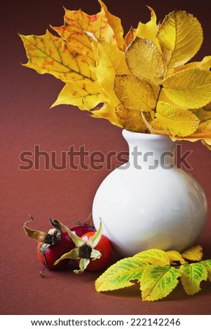autumn leaves in a white vase and rose hips on a brown background. autumn ideas.