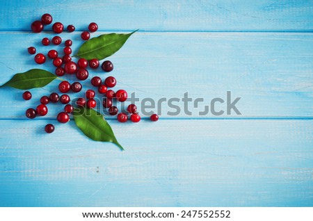 ripe cranberries on a blue wooden background. top view. food background. copy space background