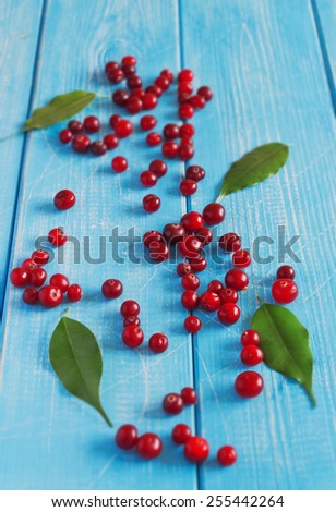 fresh cranberries on a blue wooden background. healthy food from garden
