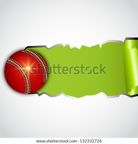 Shiny leather cricket ball, sports concept.