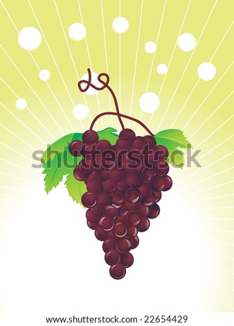 grapes wallpaper. stock vector : grapes on the