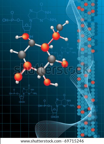 Atomic Formula