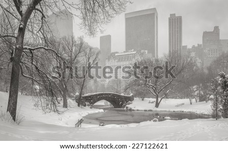 Frozen Pond and heavy snowfall in Central Park with a view of Gapstow Bridge and Manhattan high-rises and skyscrapers blurred by the snowstorm. New York wintertime scene.