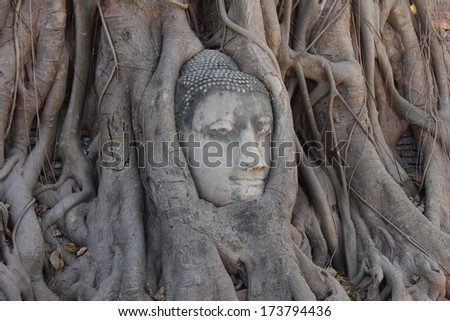 Big Sleep Buddha Statue at Wat Lokaya Sutha, Ayutthaya, Thailand