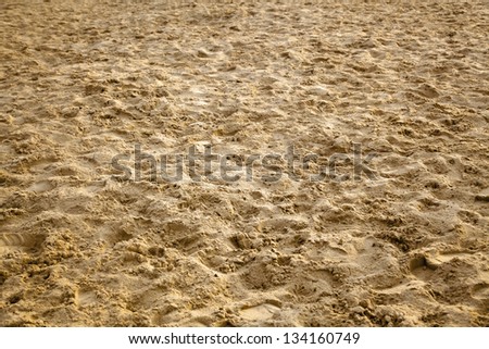 Close up of damp (due to rain) beach sand with animal and human footsteps.