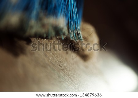 Window sunlight gives a romantic atmosphere to a blue broom surrounded by dust and a canine originated fur ball. Shallow depth of field.