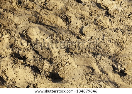 Close up on a patch of beach sand. The sand has been turned over countless times by people\'s feet, leaving it in a total mess.