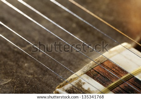 Close-up macro of the strings and the beginning of the neck of a Persian Tar musical string instrument. The Tar is a long-necked lute instrument, and the word \'tar\' itself means \'string\' in Persian.