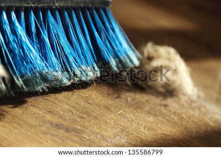 Window sunlight gives a romantic atmosphere to a blue broom surrounded by dust and a canine originated fur ball. Shallow depth of field.