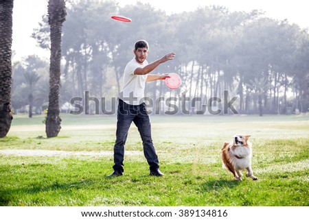 A Border Collie dog playing with its owner on a frisk morning in the park.
