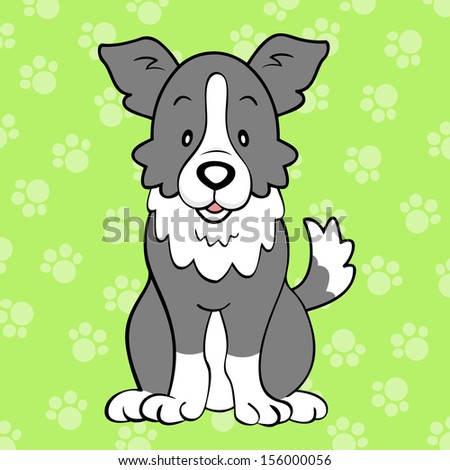 Border Collie Stock Photo 156000056 : Shutterstock