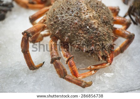 Fresh Crab at seafood market