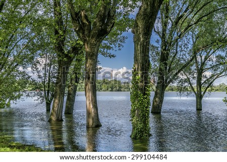 Mantova, Italy - High level of the Lakes with Trees