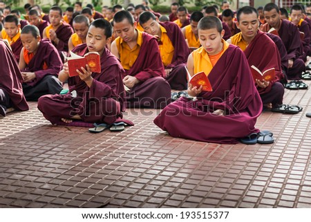 Kushalnagar, India - JUNE 25th 2009 - Buddhist Monks reading scripture in the monastery in Kushalnagar, India June 25th 2009.
