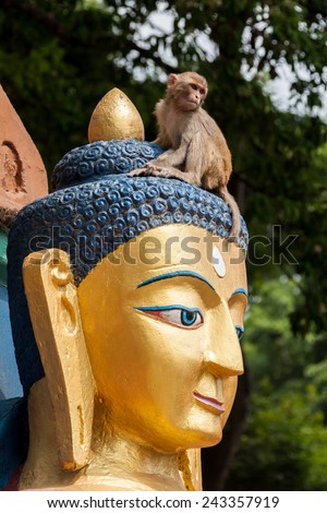A monkey plays on top of the head of a huge buddha in Nepal.