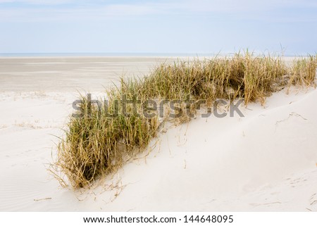 a dune with dune-grass at the German Sea (St. Peter Ording/Germany)