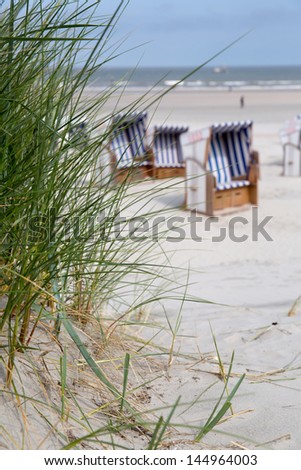 These kind of dune grass is typical for the island of Norderney (German Sea) - also like the roofed wicker beach chairs in the background of the photograph