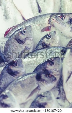 fresh saltwater fishes presented on ice on a market - Izmir, Turkey