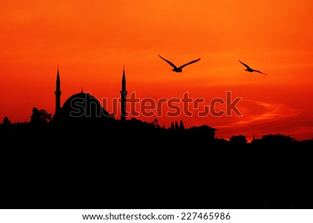 istanbul silhouette