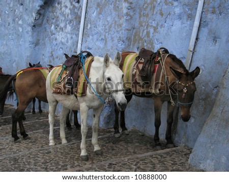 These are donkeys on the steps of santorini that give rides to tourists.