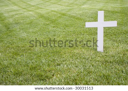 Grass Above