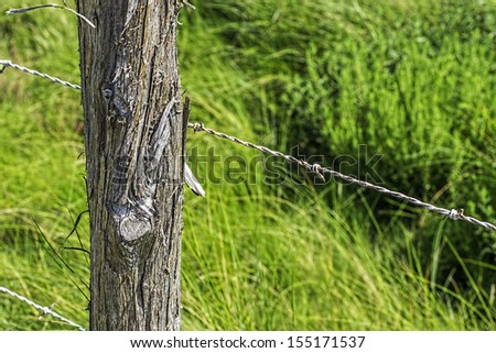 An up close shot of a wooden fence post and barbed wire.