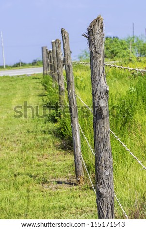 A row of wooden fence posts and barbed wire.