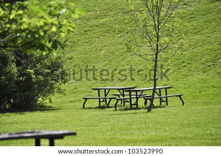 Picnic area in green park. Summer time.
