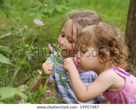 stock photo : Two cute girls smelling flowers. Summer time.