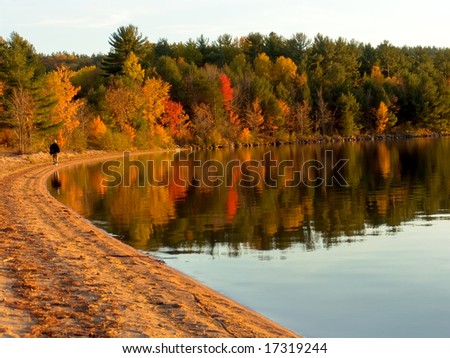 Autumn forest on the lake. Fall colors reflecting on water. Algonquin Provincial Park, Ontario, Canada. October