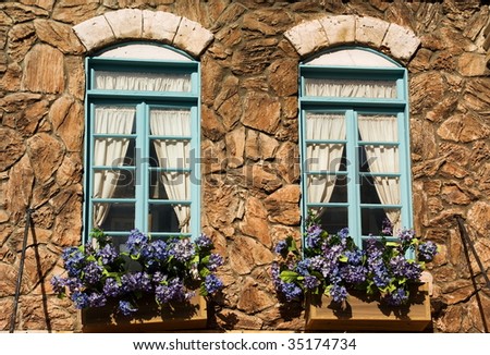 Two windows with flower boxes