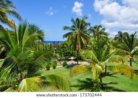 Sea and coconut palms in tropical resort. Cuba, Caribbean sea