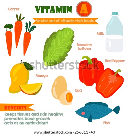 Vitamins and Minerals foods Illustrator set 2.Vector set of vitamin rich foods.Vitamin A-carrots, milk, romaine lettuce, mango, egg, red pepper and fish